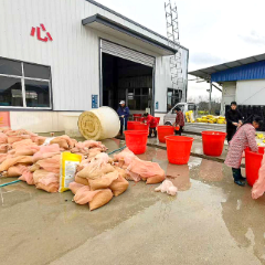 慈利县零溪镇：浸泡早稻种子正当时