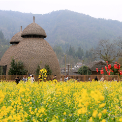张家界黄龙洞景区：踏春赏花欢度“三八”妇女节（组图）
