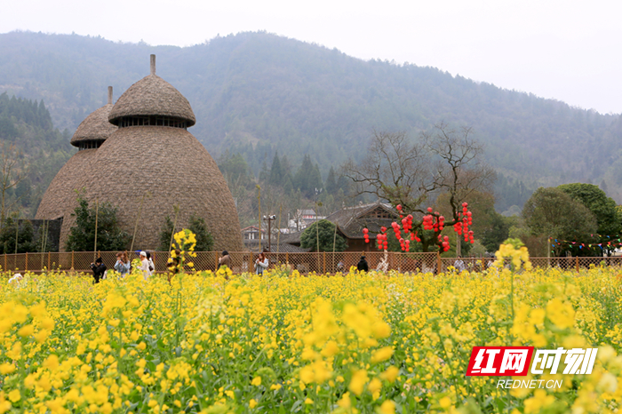 张家界黄龙洞景区：踏春赏花欢度“三八”妇女节（组图）