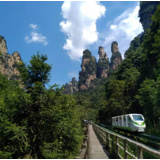 网络评论｜科普研学让文旅融合更有深度