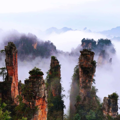 张家界天子山：峰林云海藏仙境 世界遗产展新颜
