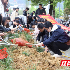 植绿护绿践初心 劳美融合育新人——张家界学院打造特色劳动教育实践品牌