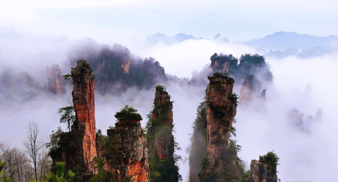 张家界天子山：峰林云海藏仙境 世界遗产展新颜