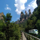 网络评论|让入境旅游支付更有温度