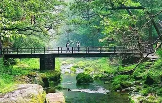 峰林入云 溪涧藏幽 赴张家界春日仙境之约