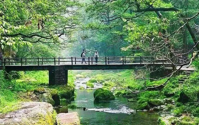 峰林入云 溪涧藏幽 赴张家界春日仙境之约