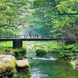 峰林入云 溪涧藏幽 赴张家界春日仙境之约