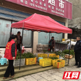 慈利县杨柳铺乡：整治马路市场除隐患 守护乡村道路保平安