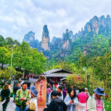 “界”上雾茫茫，画廊春游旺—— 张家界国家森林公园一景两重天