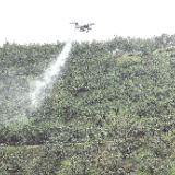 慈利县：为千亩柑橘杀虫“治病”