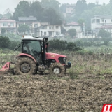 慈利县金慈街道：春耕沃野育新机 甜糯玉米促增收