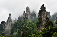 烟雨张家界 梦幻武陵源——十里画廊邀您赴春日之约
