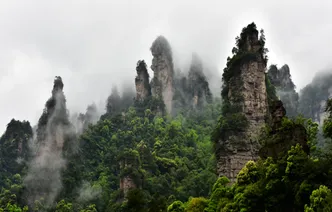 烟雨张家界 梦幻武陵源——十里画廊邀您赴春日之约