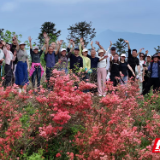 慈利县零溪镇黄连村：映山红开满插旗山 乡村游迎来“高光时刻”