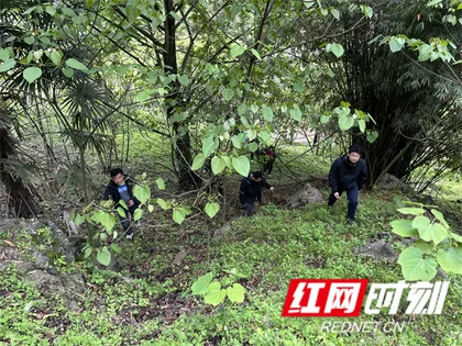 慈利县杨柳铺乡：逆雨而行显担当，联合搜救护民安