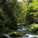 人间四月天，踏青武陵源