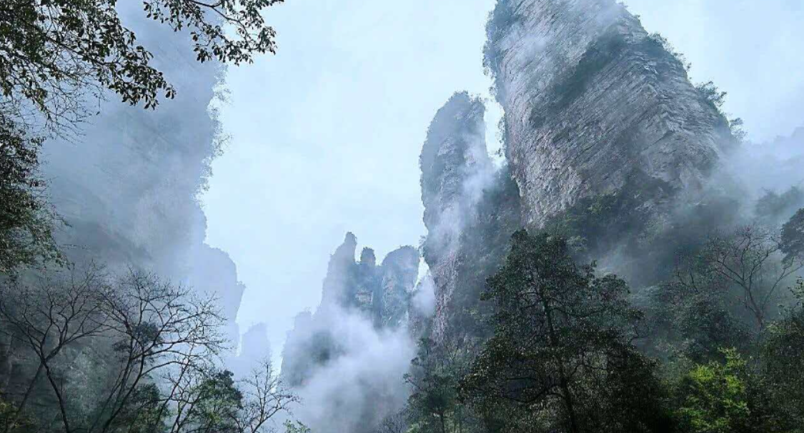 雨润金鞭溪 云雾锁奇峰——张家界国家森林公园现水墨胜景