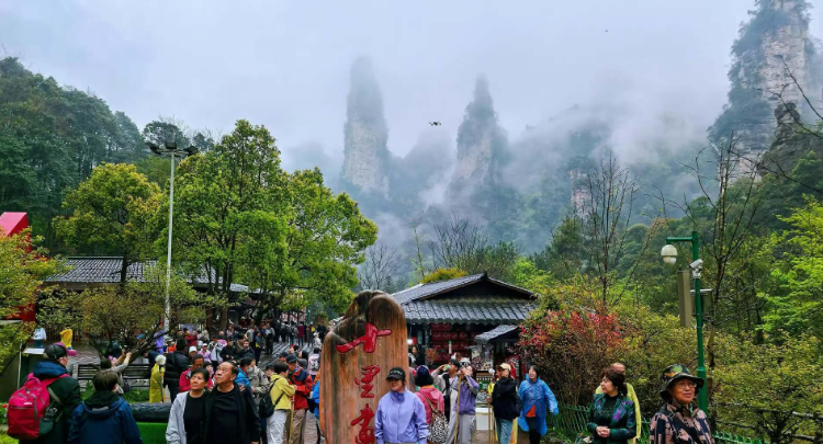 烟雨张家界：清明错峰，赴十里画廊水墨之约