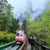 烟雨张家界：清明错峰，赴十里画廊水墨之约