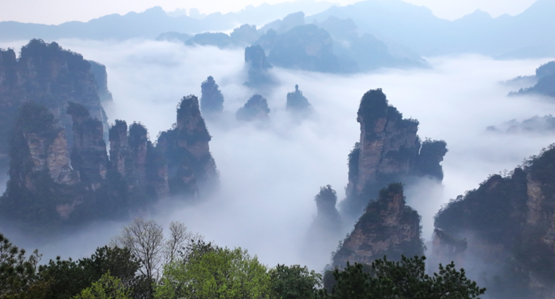 张家界百龙天梯春日云海如水墨画卷