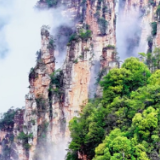 两天玩不够!大学生亲测张家界国家森林公园,这座“山的异世界”真的值得冲