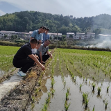 张家界市交通运输局用心用情推进乡村振兴驻村帮扶工作