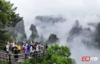张家界景区：“悬浮山”仙境醉游人