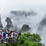 张家界景区：“悬浮山”仙境醉游人