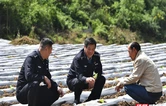 大山的回答 ——记张家界市公安局驻村民警胡忠权