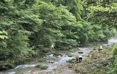 暴雨过后清淤护绿 张家界国家森林公园门票站践行“五员一体”深化“宠游客”服务