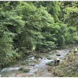 暴雨过后清淤护绿 张家界国家森林公园门票站践行“五员一体”深化“宠游客”服务
