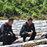 大山的回答 ——记张家界市公安局驻村民警胡忠权