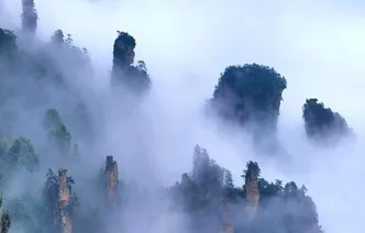 峰林藏云雾 云海揽奇峰 张家界尽显自然奇韵