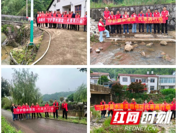 慈利县杨柳铺乡:人大代表再行动 清淤护河守护碧水清流
