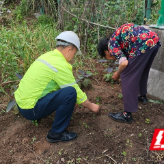 高速公路人行天桥变“菜园” ，张家界高速武陵源管理所及时除隐患保安全