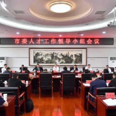市委人才工作领导小组会议召开