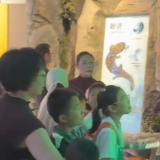 武陵源：探秘大鲵乐享六一 科普活动温暖新就业群体子女