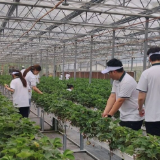 张家界学院第十六期"青马工程"培训班劳动实践活动举行