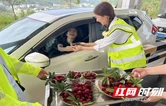 温情服务润旅途，张家界高速人采摘鲜果分享司乘