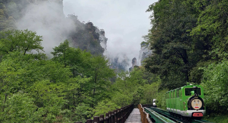云雾萦绕十里画廊 张家界峰林峡谷尽显水墨仙姿