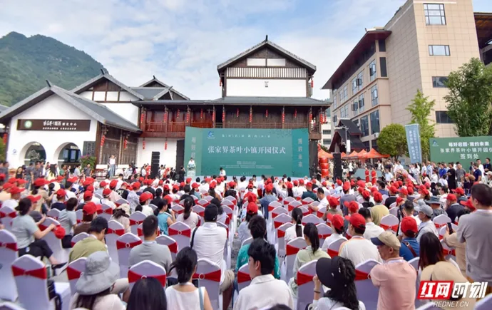 张家界茶叶小镇开园