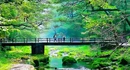 张家界金鞭溪原生态风光提前点燃暑期文旅市场