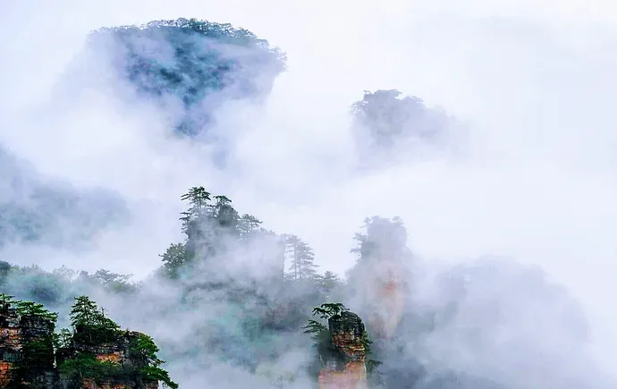 雨雾绕峰林  张家界天子山仙境引游人冒雨打卡