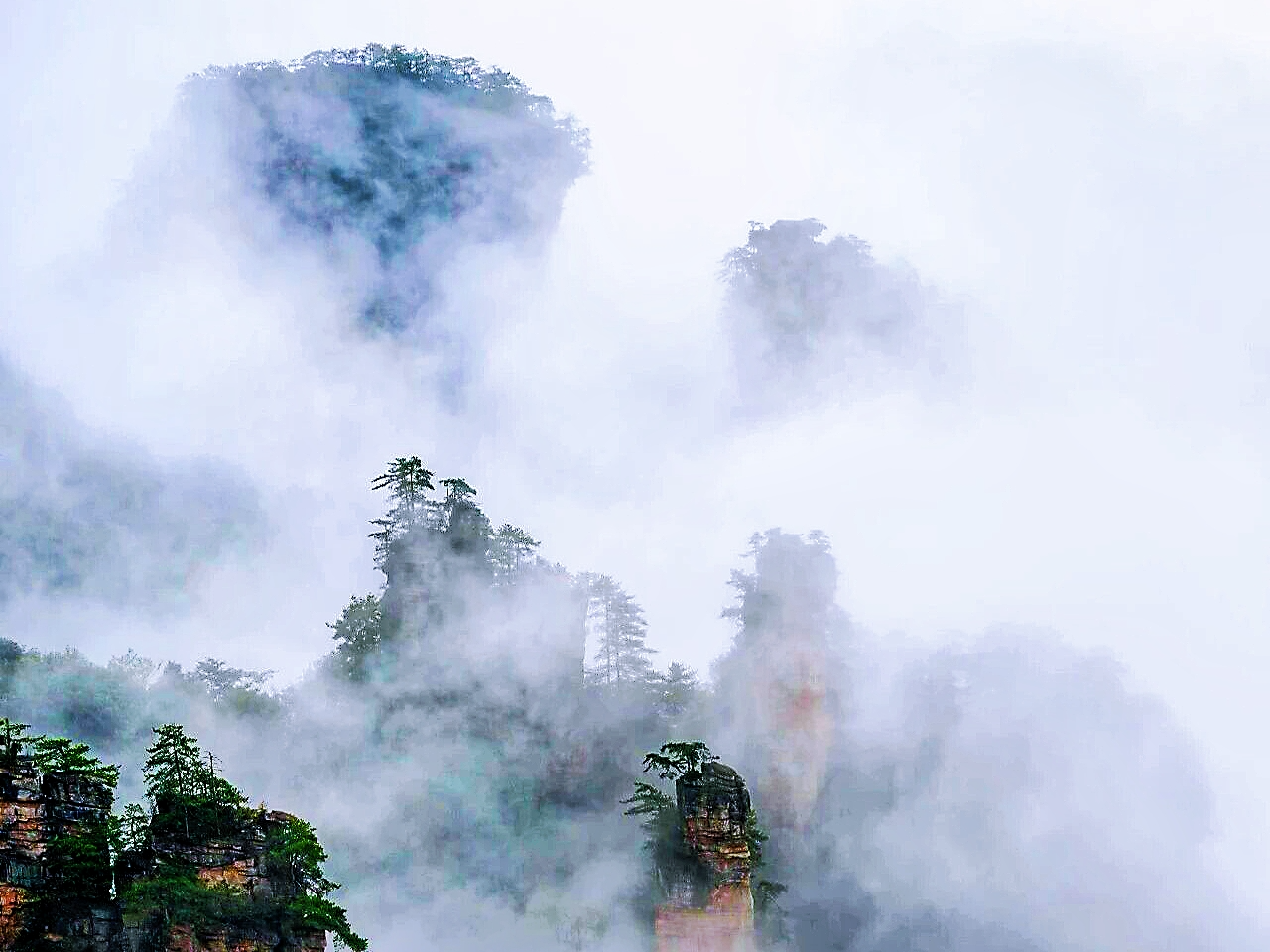 雨雾绕峰林 张家界天子山仙境引游人冒雨打卡
