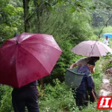 慈利县岩泊渡镇:防汛一线践初心 转移群众护民安