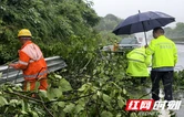 张家界高速武陵源管理所及时清理倒伏树木 守护汛期高速通行安全