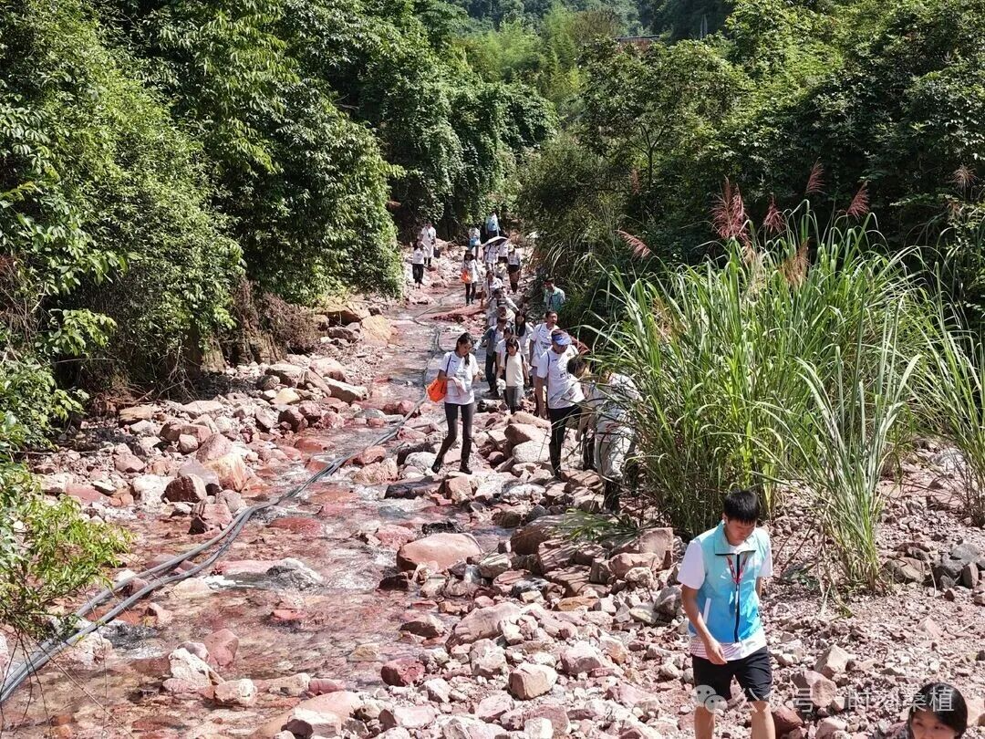 探洞溯溪登山  7公里奥林匹克跑欢享桑植山水