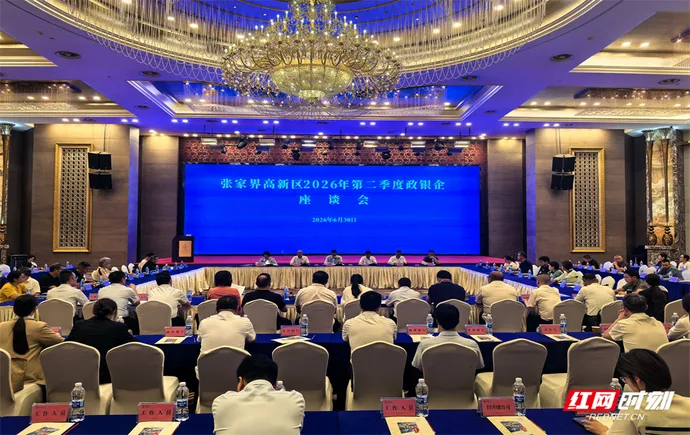 知产变资产 创新添动能——张家界高新区2026年二季度政银企座谈会搭建融资对接新桥梁