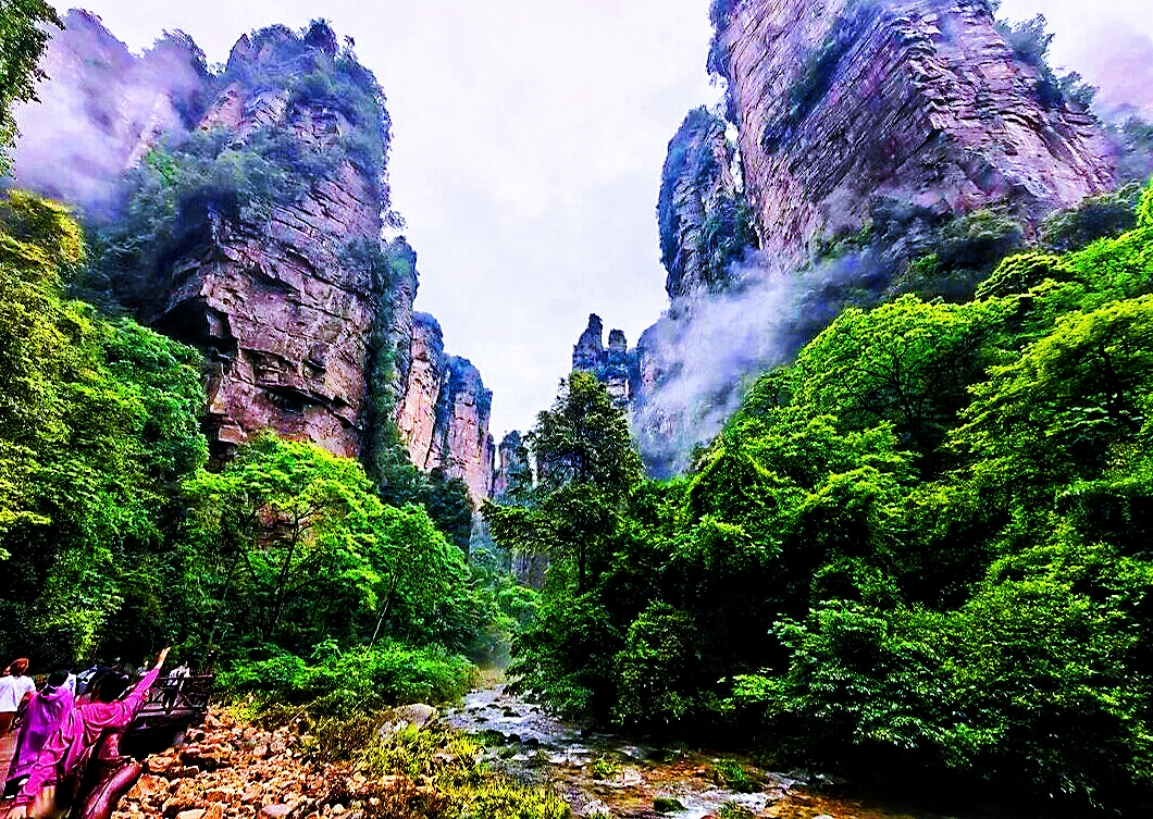 烟雨金鞭溪：张家界峰林峡谷的生态文旅画卷