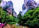 烟雨金鞭溪：张家界峰林峡谷的生态文旅画卷